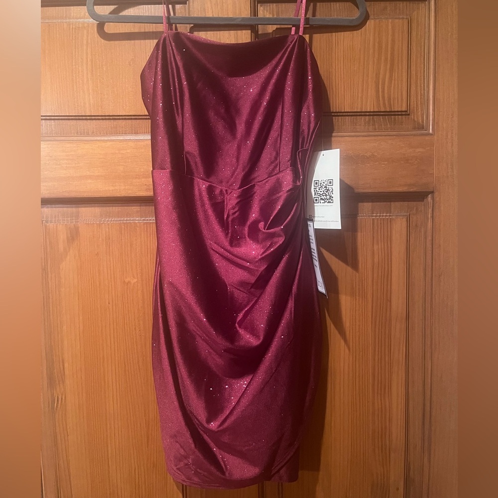 BNWT Burgundy Dress